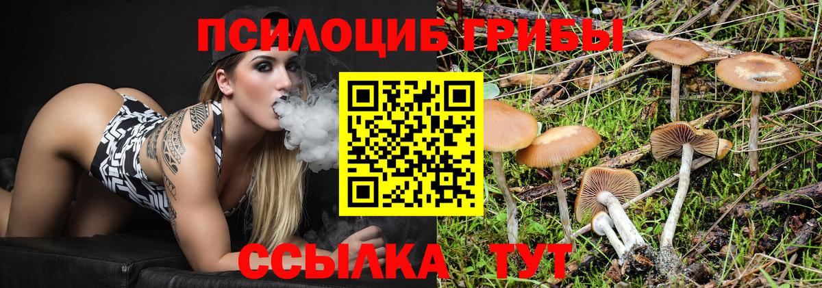 Псилоцибиновые грибы прущие грибы Удомля
