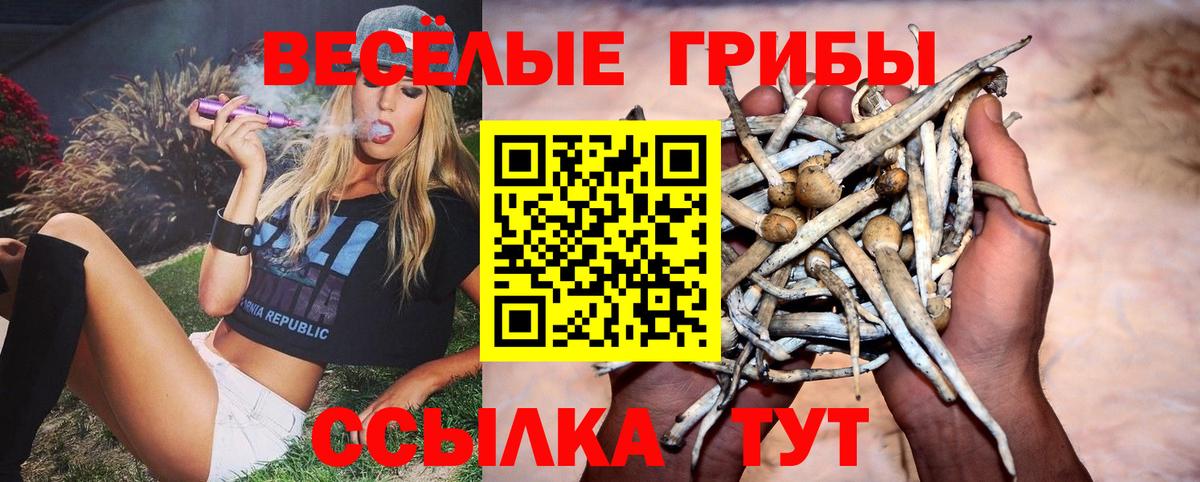 Удомля  Галлюциногенные грибы Psilocybine cubensis  Псилоцибиновые грибы ЛСД  Вход с VPN 